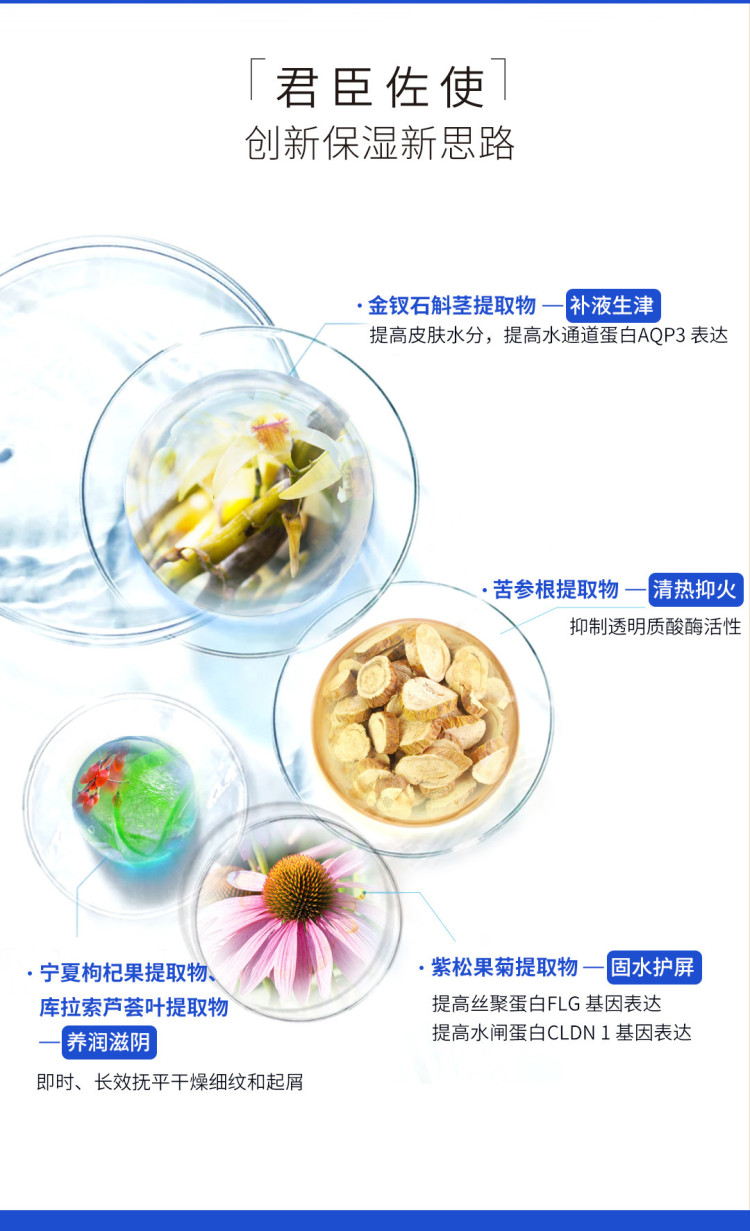 精华_05.jpg