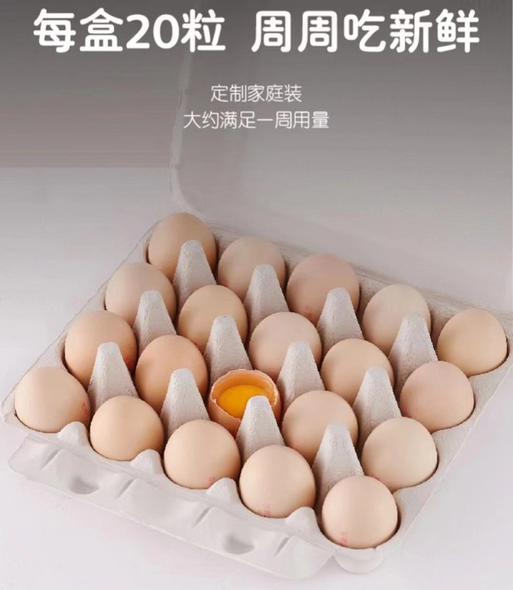 微信图片_20220916074732.jpg