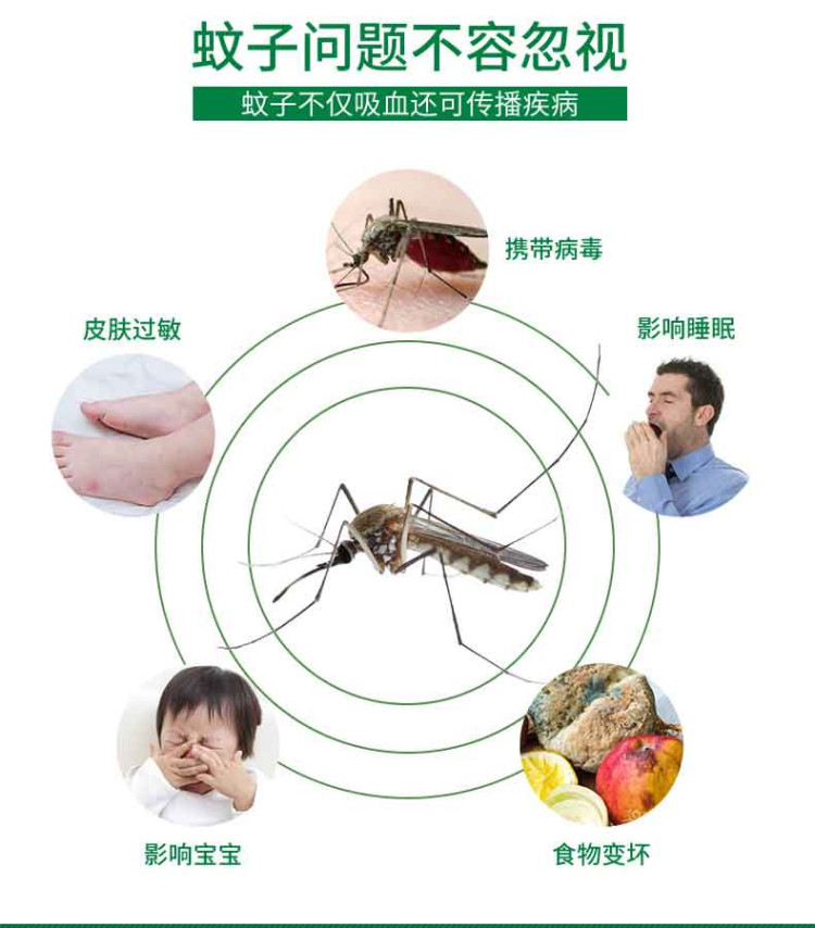 详3.jpg