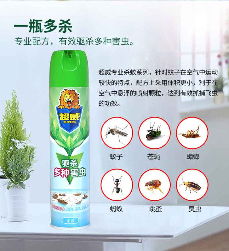 详6.jpg