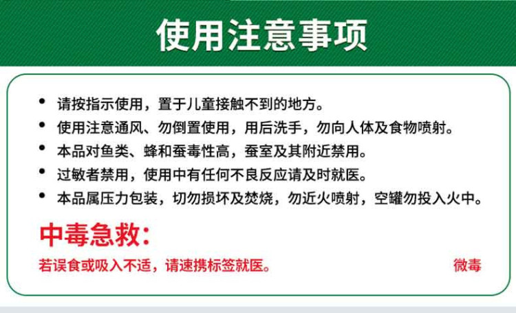 详11.jpg